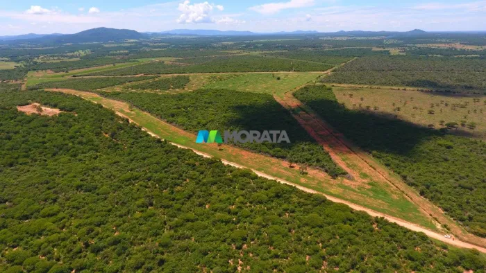 FAZENDA À VENDA - 250 HECTARES - REGIÃO DE JANAÚBA (MG)
