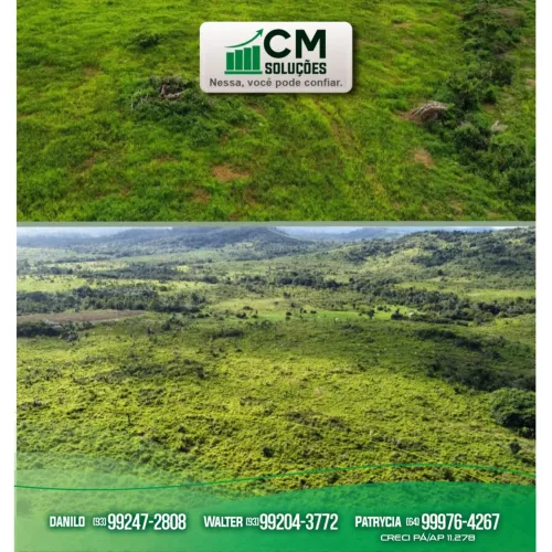 Fazenda à Venda do Pará - Região Sudoeste do Pará