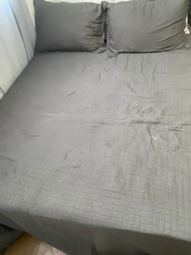 Cama