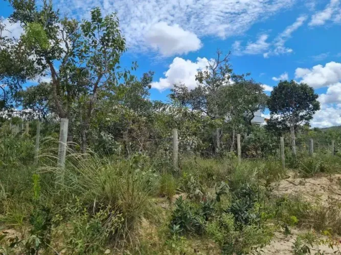 OPORTUNIDADE NA CHAPADA DOS VEADEIROS
