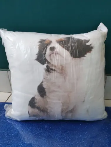 Almofada doguinho