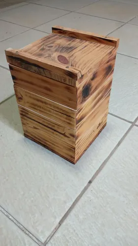 Caixa de abelha jatai
