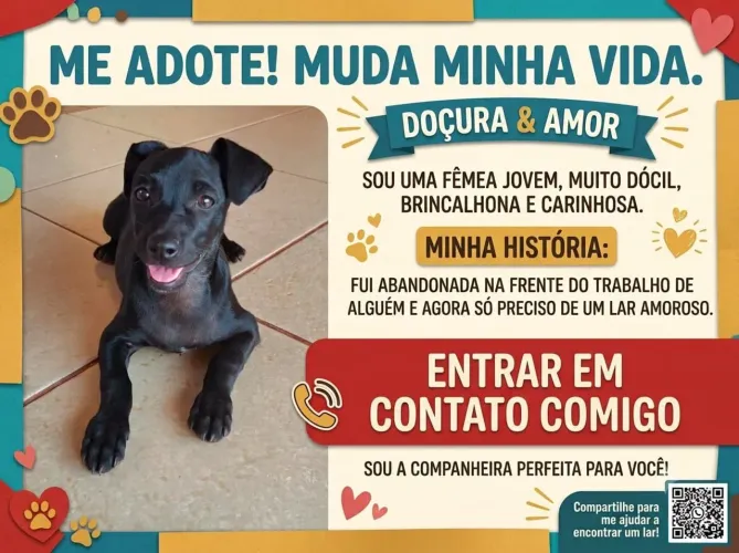 Doando essa cachorrinha