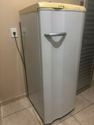 Vende-se Geladeira RE 28 550,00