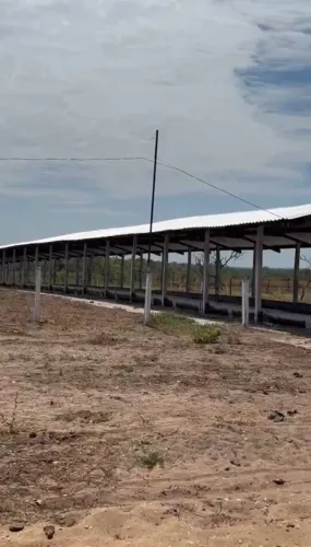 Arrendamento de pasto e confinamento. Ponte Alta 