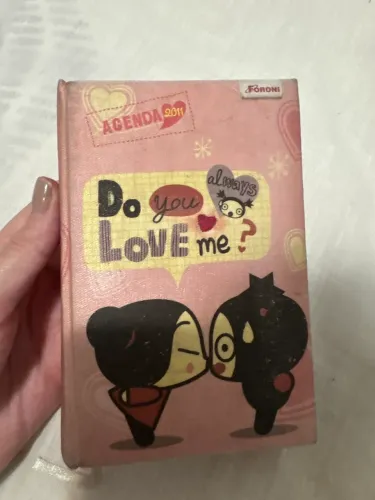Mini agenda de 2011 vintage Pucca- Foroni ( algumas poucas folhas escritas )