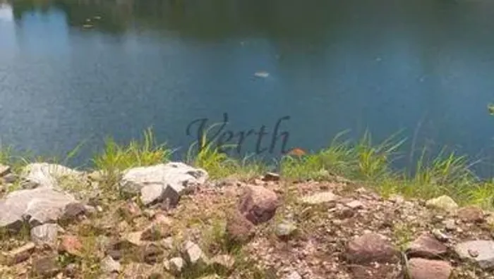 Fazenda à venda, oportunidade de investimento, 363Ha, Alvorada - TO