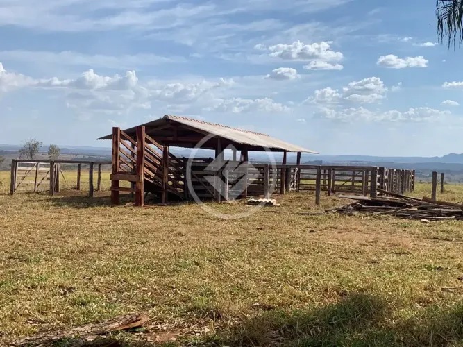 Fazenda a 5 km de Ivolândia-GO 15 Alqueires prontos para produção codigo: 133756