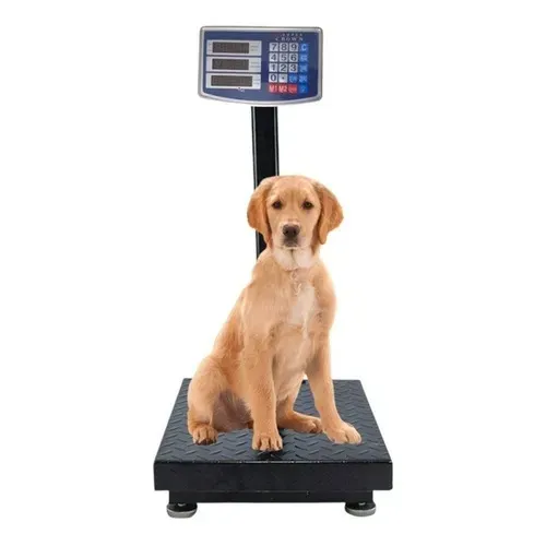 Balança Plataforma 200kg Promoção Painel Digital Bivolt Bateria Plataforma 30x40cm -NOVA
