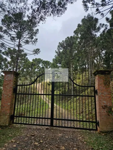 Sítio com 20.000 m², escriturado, pertinho do asfalto, analisa permuta