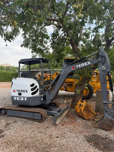 Mine escavadeira Terex Tc 37 2013