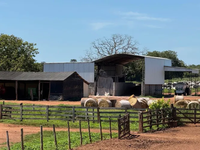 Fazenda de 512 alqueires em São João da Aliança-GO