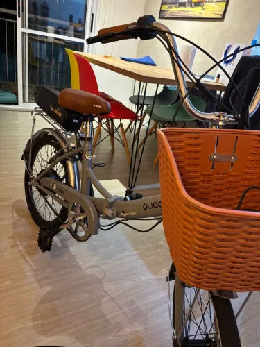 Bicicleta Elétrica Dobrável Pliage Retro 350w Two Dogs c/ Computador de Bordo