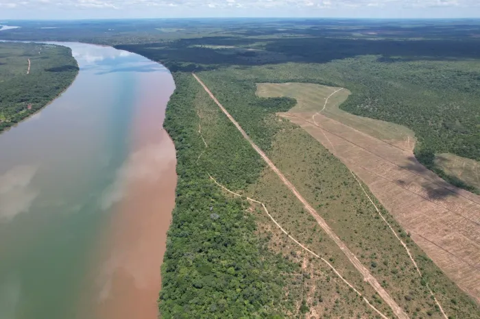 Fazenda 1.192alqueires no TO. Aceita diamantes no pagamento 3 mil hect planta hoje
