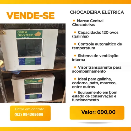 Chocadeira 120 ovos 