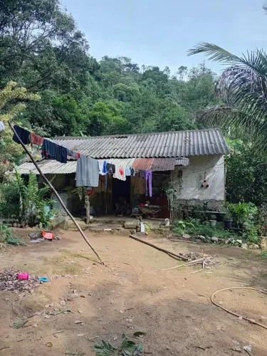 Terreno