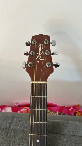 Violão Takamine G-230