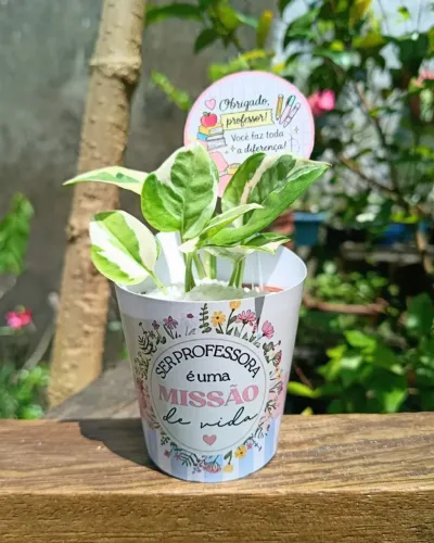 Lembrancinhas personalizadas com cactos e suculentas