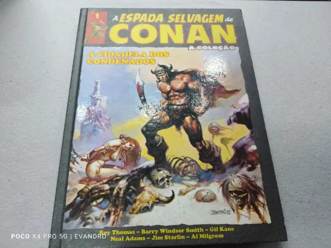 A espada selvagem de Conan 1