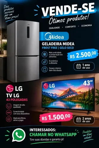 Vendo geladeira e TV