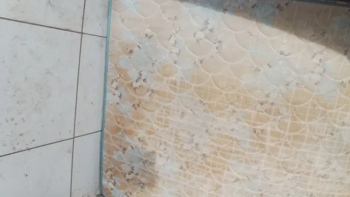 Vendo se esse colchão de casal precisa dar uma lavadinha r$ 100