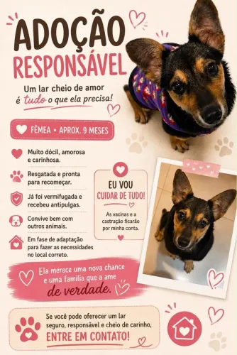 DOAÇÃO CACHORRA
