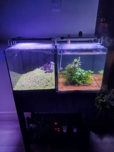 Aquários de 27 litros