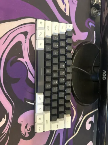 Monitor, Teclado e Mouse