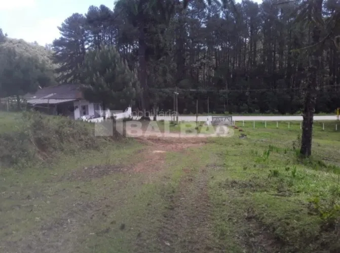 FAZENDA DE REFLORESTAMENTO À VENDA - OPORTUNIDADE EM EMBU-GUAÇU/SP