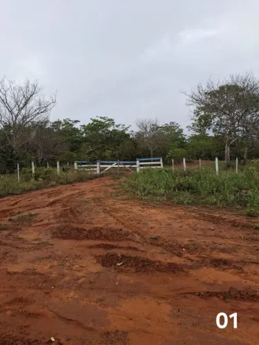 Área de 90 hectares em Tesouro-MT