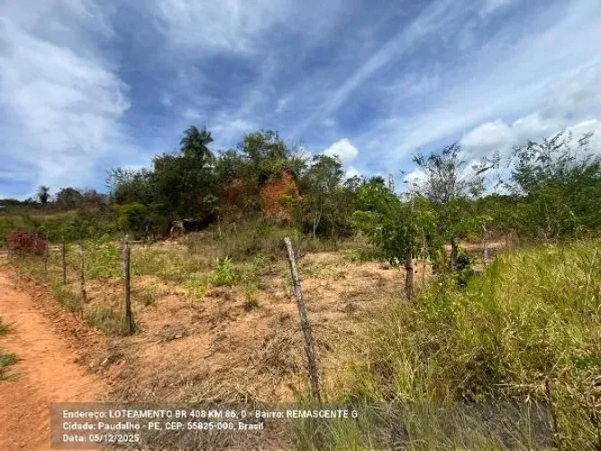 Oportunidade Única em PAUDALHO - PE | Tipo: Terreno | Negociação: Venda Online | Situação: