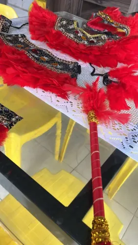 Vendo essa roupa de índia