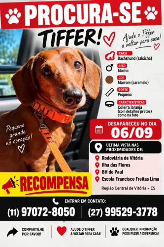 Desaparecido