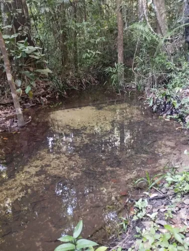 Terreno Rural com igarapé
