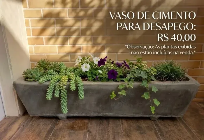 vaso de cimento