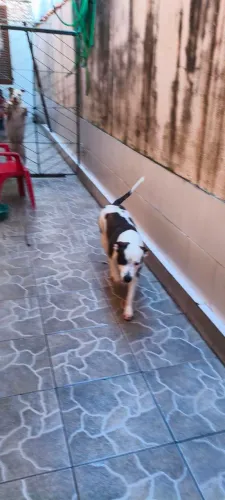 Doação