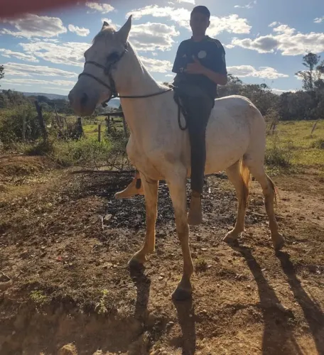 Vendo égua