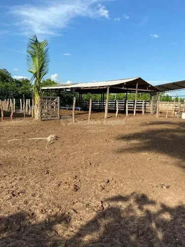 Fazenda à venda, Morro do Alecrim, Caxias, MA