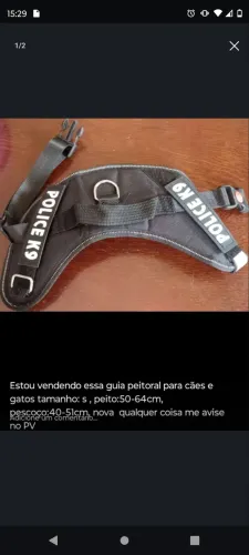 Guia para cães e gatos