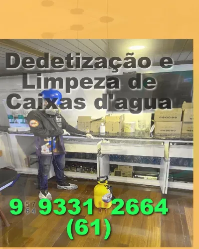 Dedetização urgente! Precisa controlar pragas? Fale conosco e elimine os insetos!