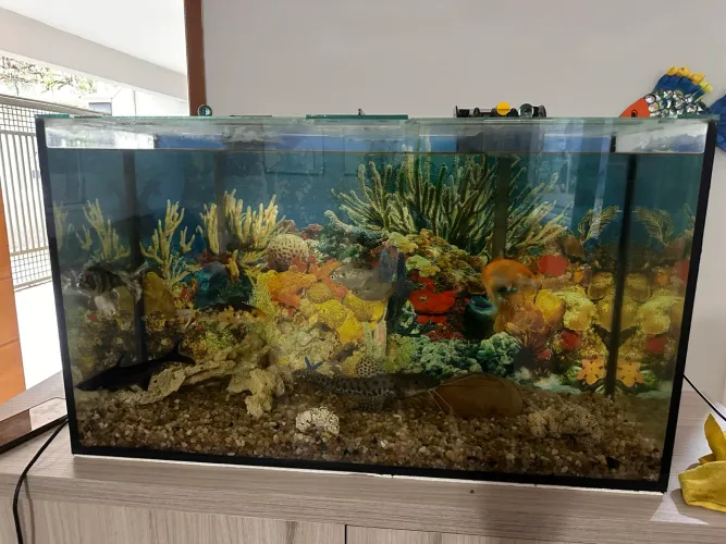 Aquário 80x30 em perfeito estado