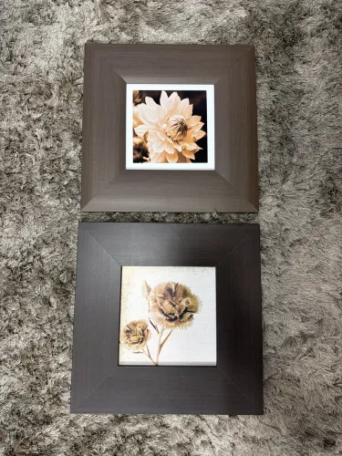 2 Quadros/Molduras 35x35