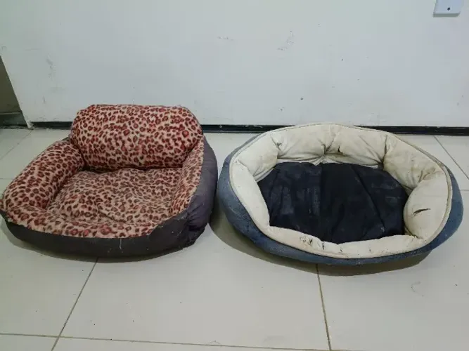 4 camas para PETs
