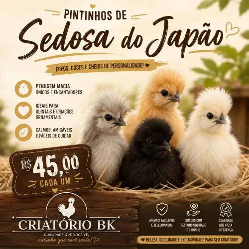 Sedosa do Japão 