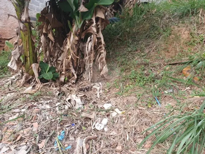 Terreno à venda em Vila Indiana, São Paulo
