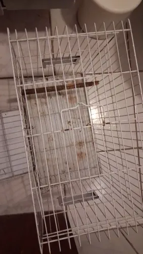 Gaiola para passarinho ou calopsita 