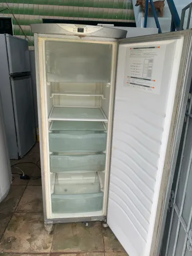 Freezer vertical Fross free