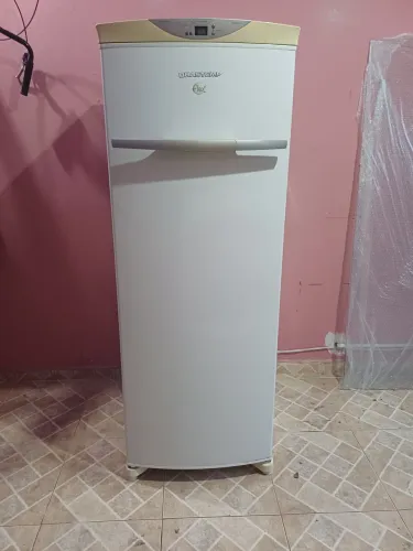 Freezer / Geladeira Brastemp Flex Frost Free 220V (BVR28)