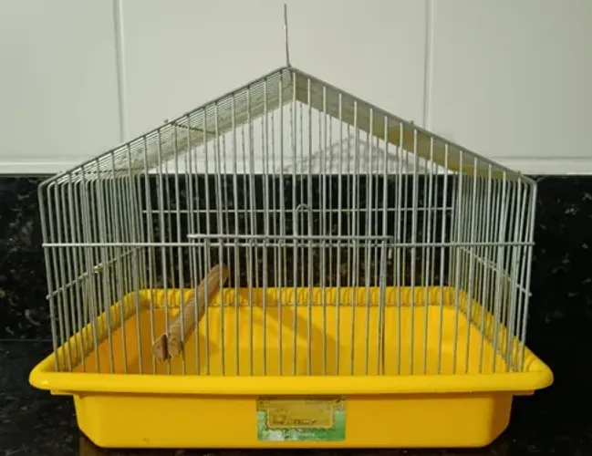 Gaiola para Pássaros Pequenos / Transporte
