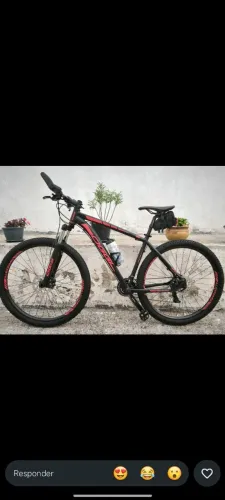 Bike Oggi Tam 19